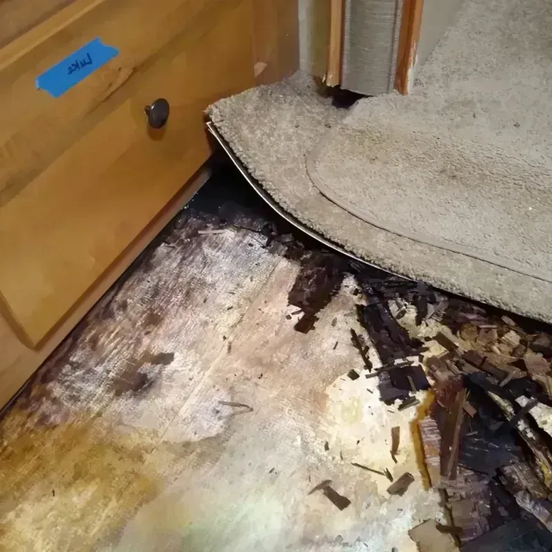 Wood Floor Water Damage in Millington, MI